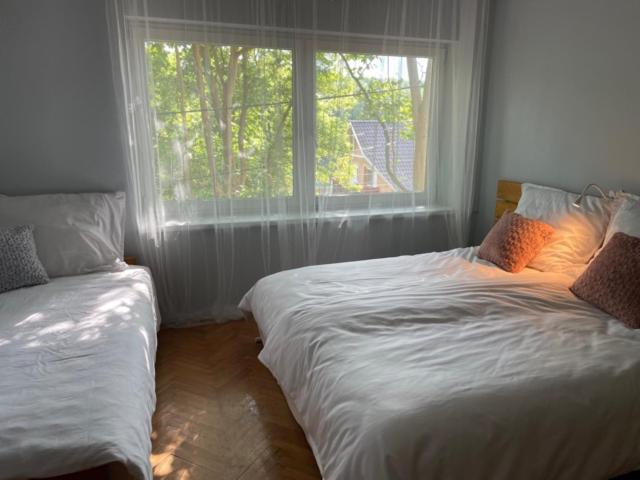 Boni Apartman Miškovec Exteriér fotografie