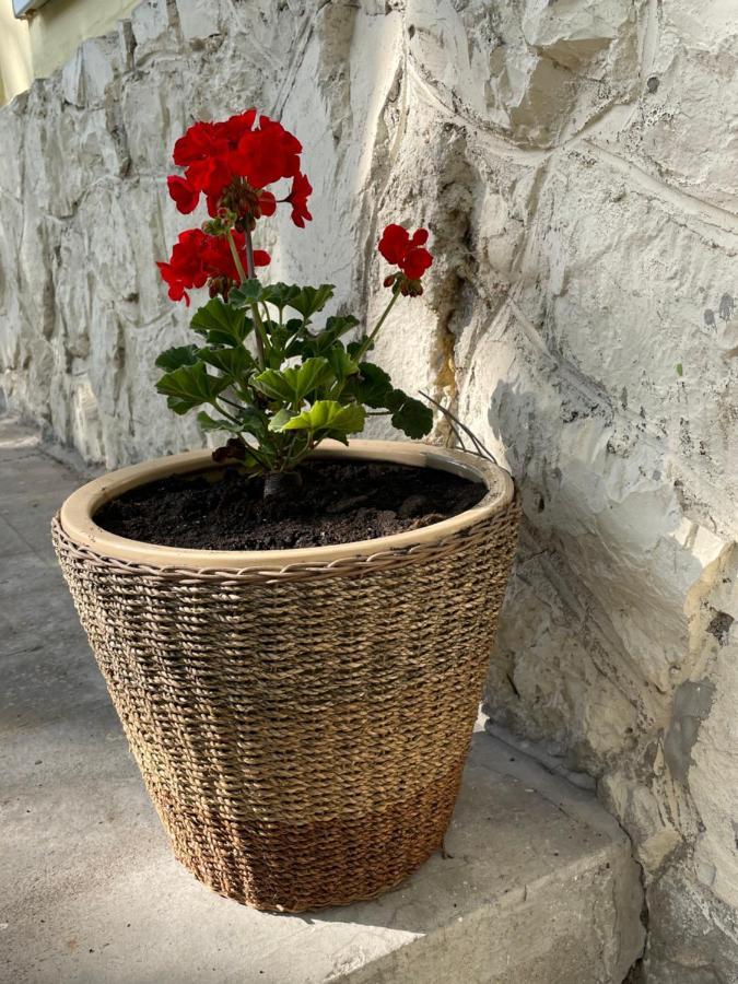 Boni Apartman Miškovec Exteriér fotografie